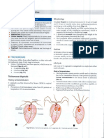 Trichomonas Vaginalis