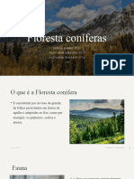 Floresta Coníferas