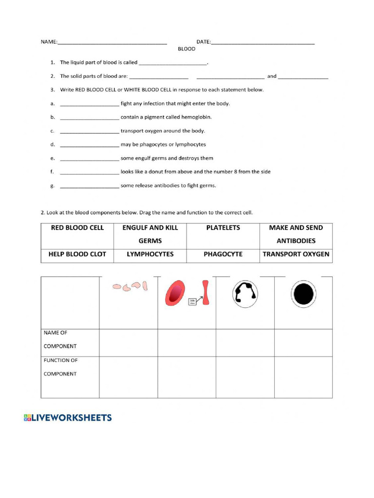 Document | PDF