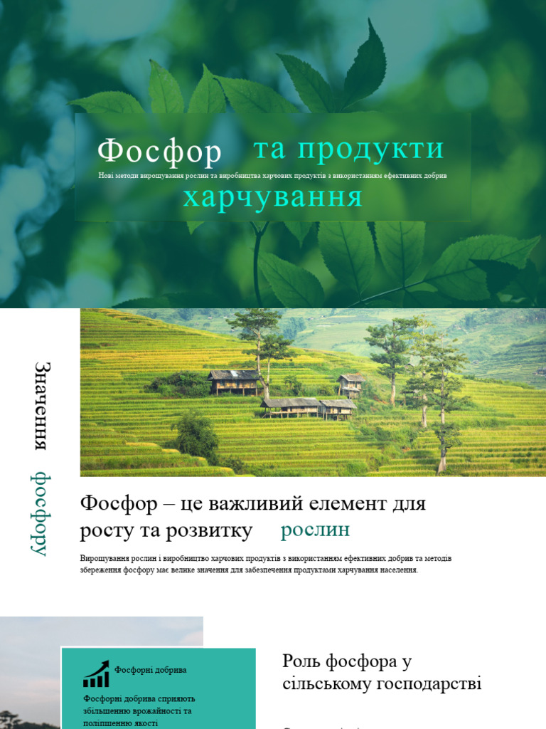 Фосфор | PDF