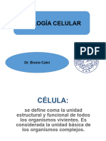 Seminario - Biologia Celular 2024 - UNR