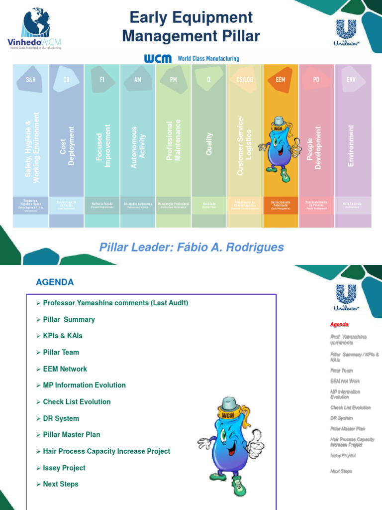EEM Pillar Overview and Objectives | PDF | Information | Business