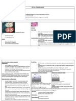 DPT Case 1 - Cerebral Babesia - Cattle