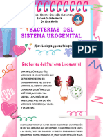 Bacterias Del Sistema Urogenital