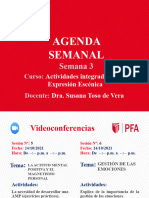 Agenda Semanal 3 - PFA - 2021