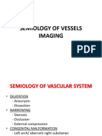 Semiology of Vessels Imaging
