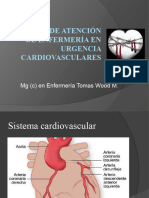 Urgencias Cardiovasculares 2 21.34.28