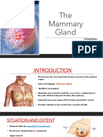 The Mammary Gland: Presented By