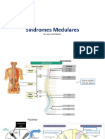 Sindromes Medulares 19 04 20223