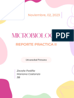 Documento A4 Portada Proyecto Doodles Coloridos Pastel