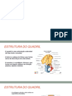 Anatomia de Superfície MMII