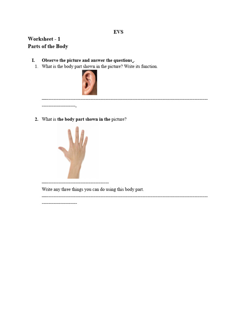 Class III, EVS Worksheets -1 | PDF | Vegetables | Water
