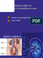 Patología Renal