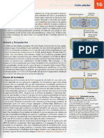 Lectura 2-Meiosis-Ovogénesis y Fecundación-Cooper-Cap 16