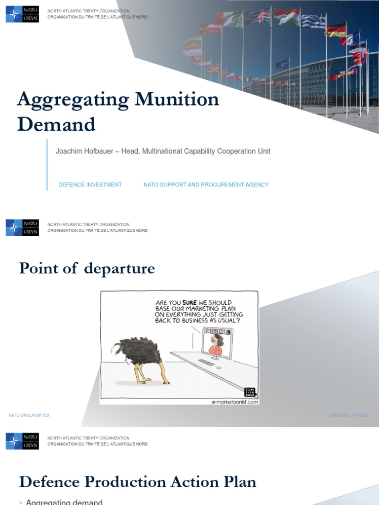 IF25.11 DPAP - Stockpile Issues | PDF | Nato | Ammunition
