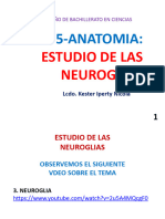 +3ero PP 5-II P Estudio de Las Neuroglias