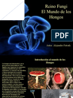 Fatouh - 2do año - Reino Fungi