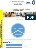 Atencion de Emergencia Del Paciente Quemado (Abls) Febrero 2024