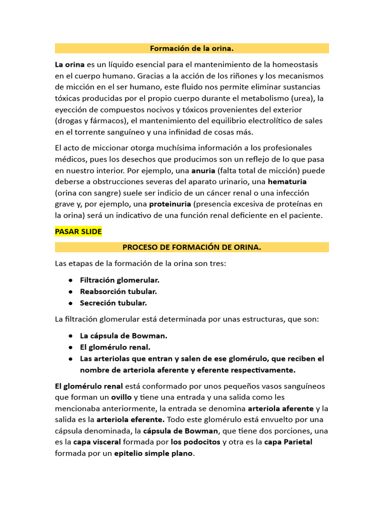 Formación De La Orina Pdf Riñón Orina