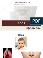 Boca