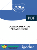 Ficha Conhecimentos Pedagógicos Aulão 02.01.24 - Sem Gabarito