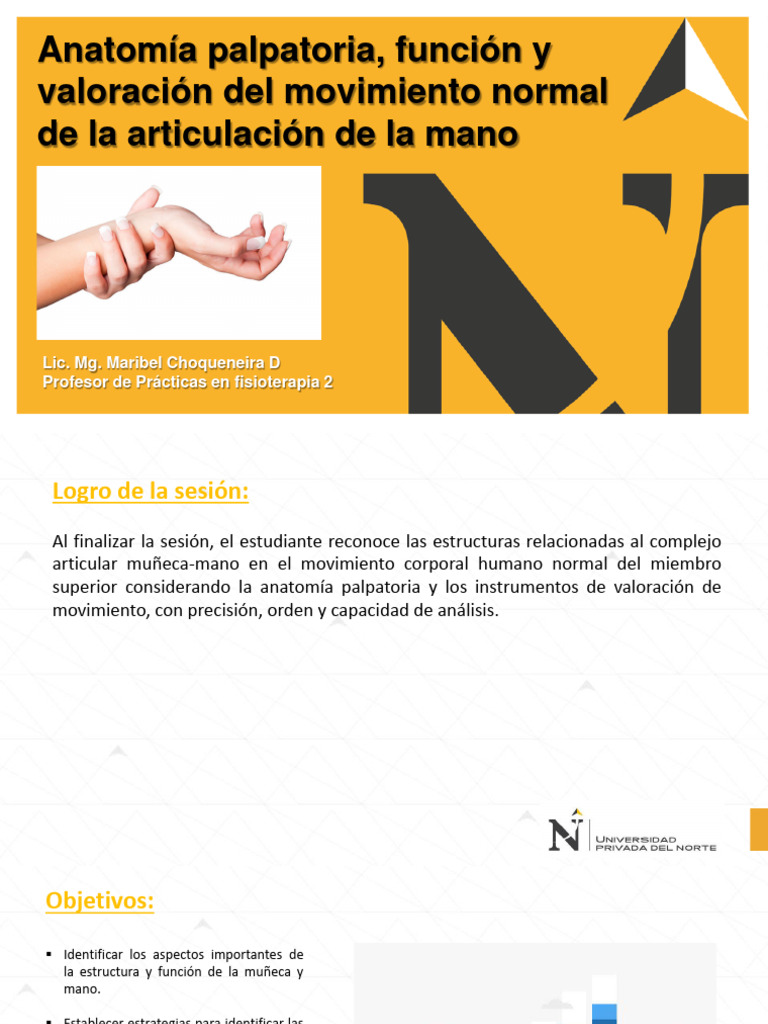 07. Anatomia palpatoria, función y valoración de la muñeca y mano | PDF ...