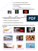 Cuestionario de Ciencias Naturales II Parcial III Trimestre