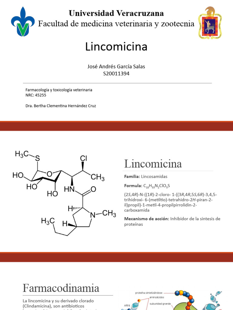 Lincomicina | PDF | Química medicinal | Drogas