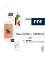 SE22 Dengue - Diresaica - 04 06 2022