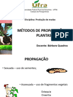 Propagao de Plantas