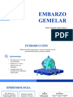 Embarazo Gemelar