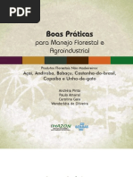 Boas Prticas Para Manejo Florestal by Gglorios