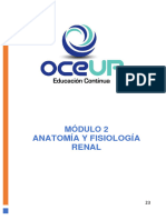 Ud2 Anatom A y Fisiolog A Renal