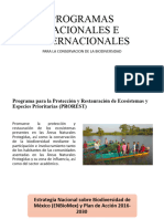 Programas Nacionales e Internacionales Relacionados Con El Medio Ambiente