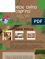 Caprinos