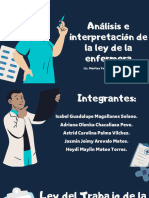 Análisis e Interpretación de La Ley de La Enfermera