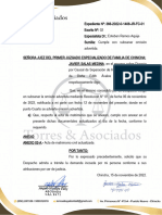 Exp. 366-2022 - Subsana Omision - Javier Salas Medina