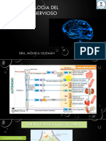 Farmacologia Del Sistema Nervioso Moni