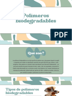 Polímeros Biodegradables - 20240229 - 220727 - 0000