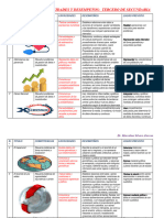 Capacidades-Competencias-Aprendizajes Esperados 3ro