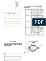 Booklet of Light and Sound 2020