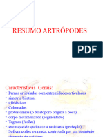 Artropodes Resumo