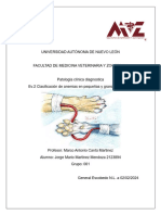 Ev 2 Clasificacion de Anemias