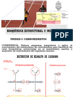 P3 Carbohidratos Unidad 2