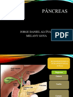 Pancreas Cirugia