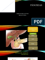 Mi Parte de Pancreas 1-39 Clinica Quirurgica