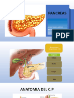 Pancreas Unido