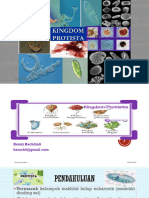 Henny - 3 Protista