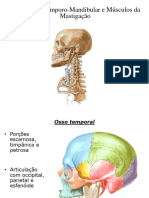 Articulacao Temporo Mandibular e Musculos Da Mastigacao