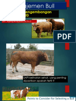 Bull Management, BIB D BLORA DR AGUNG 2020 Materi Workshop